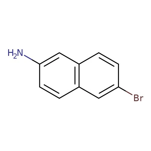 CAS:7499-66-3|6-Brómonaftalen-2-amín